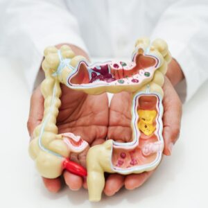 Benefícios do tratamento ortodôntico na digestão e saúde digestiva