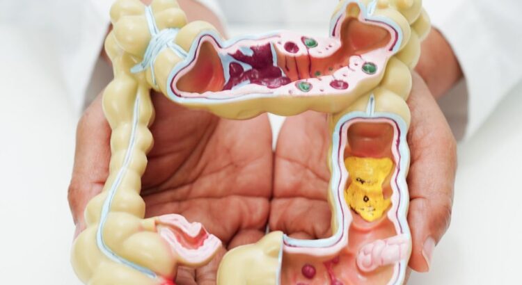 Benefícios do tratamento ortodôntico na digestão e saúde digestiva