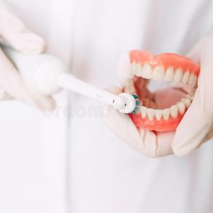 higiene-oral-o-dentista-mostra-como-escovar-seus-dentes-prótese-dental-nas-mãos-do-close-up-doutor-odontologia-conceptual-foto-152086496